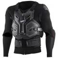 Моточерепахи в Москве